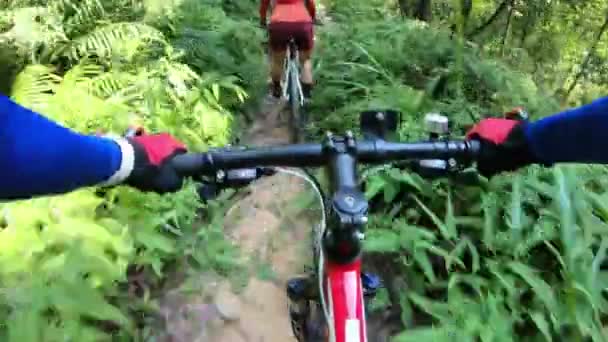 Kvinnliga Cyklister Ridning Mountainbikes Trail Forest — Stockvideo