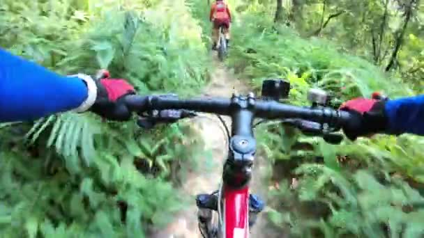 Ciclisti Sesso Femminile Sella Mountain Bike Sul Sentiero Nel Bosco — Video Stock