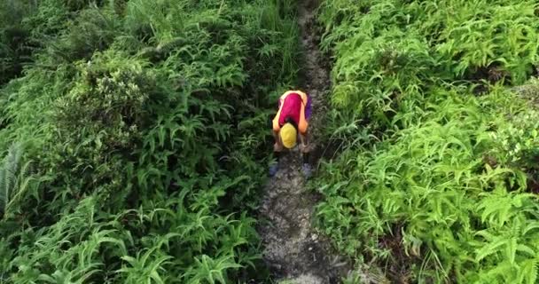 热带雨林小径训练中的女赛跑选手休息 — 图库视频影像