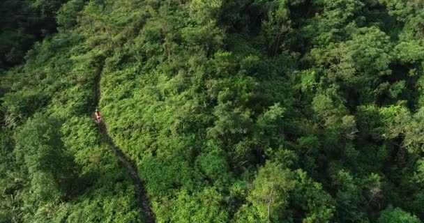 Aerial View Female Marathoner Running Tropical Rainforest Trail Mountains — Stock Video