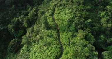 Dağlarda tropikal yağmur ormanlarında koşan kadın maratoncunun hava görüntüsü