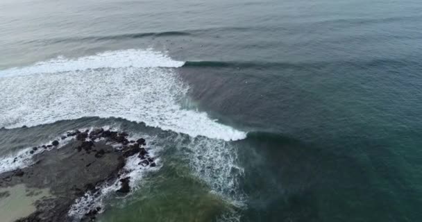 在斯里兰卡海岸上海浪冲刷热带海滩的自然镜头 — 图库视频影像