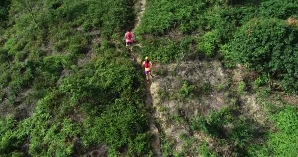 Luchtfoto Van Twee Sportvrouwen Een Tropisch Regenwoudpad — Stockvideo