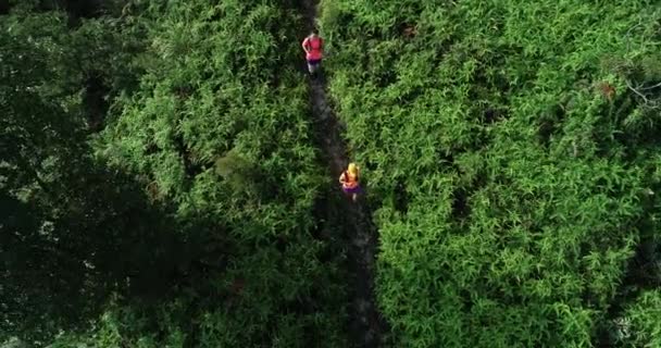 Luftaufnahme Von Zwei Sportlerinnen Die Auf Tropischem Regenwaldpfad Laufen — Stockvideo