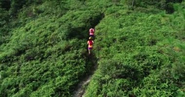 Tropikal yağmur ormanlarında koşan iki sporcunun hava görüntüsü