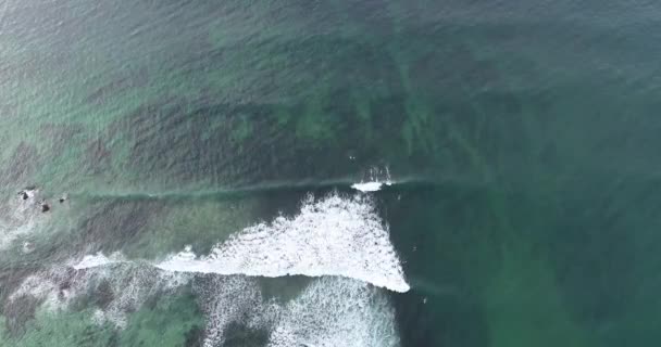 Images aériennes de vagues océaniques lavant une plage tropicale sur le rivage du Sri Lanka 