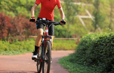 Ormanda dağ bisikleti süren kadın bisikletçi.