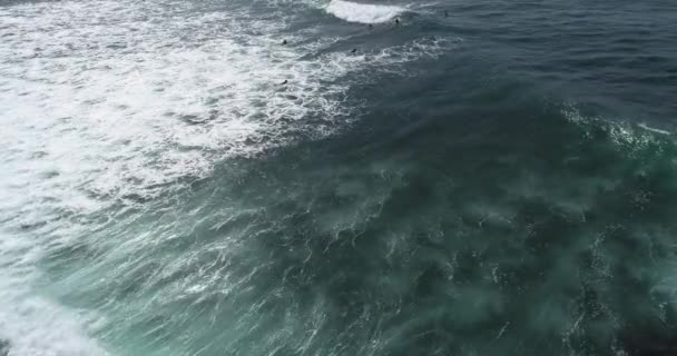 Sri Lanka Kıyılarında Okyanus Dalgalarında Sörf Yapan Turistler — Stok video