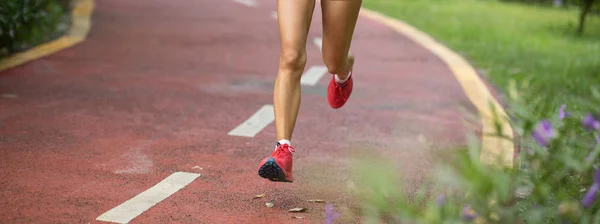 健康健康的女性跑步者在公园小径上慢跑的腿 — 图库照片