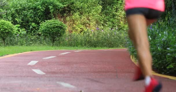 女性ランナーは森の中をジョギング リアビュー — ストック動画