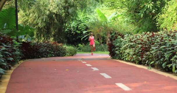 年轻的女赛跑选手在森林小径上慢跑 — 图库视频影像