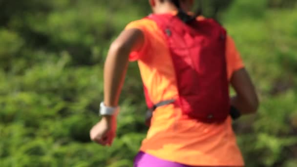 Kvinnliga Löpare Justera Smartwatch Sedan Kör Grön Skog — Stockvideo