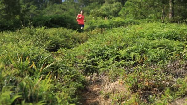 Kvinnlig Ultramarathon Löpare Utbildning Gröna Gräsbevuxna Kullar — Stockvideo