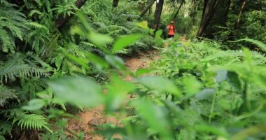 Uyumlu kadın ultra-maraton koşucusu gündüz parkta koşuyor.