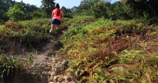 Perempuan Lari Lintas Negara Pelatihan Pegunungan Siang Hari — Stok Video