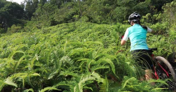 Jovem Motociclista Caminhando Com Ciclo Floresta Tropical — Vídeo de Stock