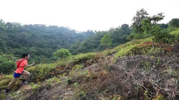 Pelari Ultramaraton Wanita Yang Cocok Berlari Taman Pada Siang Hari — Stok Video