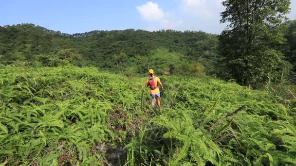 Dos Mujeres Corredoras Ultramaratón Corriendo Parque Durante Día — Vídeos de Stock