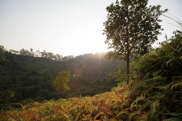 Nascer Sol Sobre Paisagem Floresta Outono Sul China — Fotografia de Stock