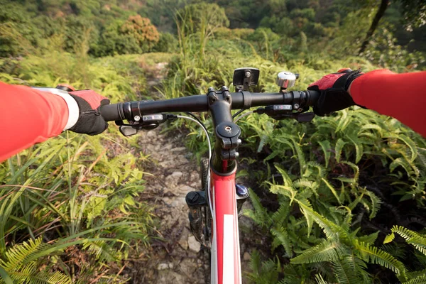 Manos Ciclista Cross Country Sosteniendo Manillar Bicicleta Montaña Ladera Del —  Fotos de Stock