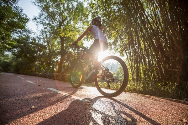 Mujer Ciclismo Carril Bici Parque Clima Soleado — Foto de Stock