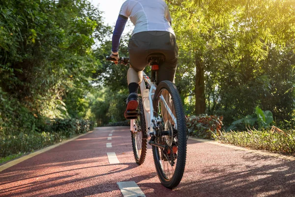 Mujer Ciclismo Carril Bici Parque Clima Soleado — Foto de Stock