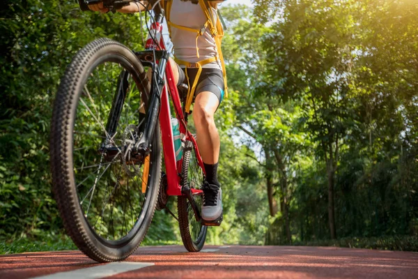 Woman Cycling Bike Path Park Sunny Weather — Stock Photo, Image