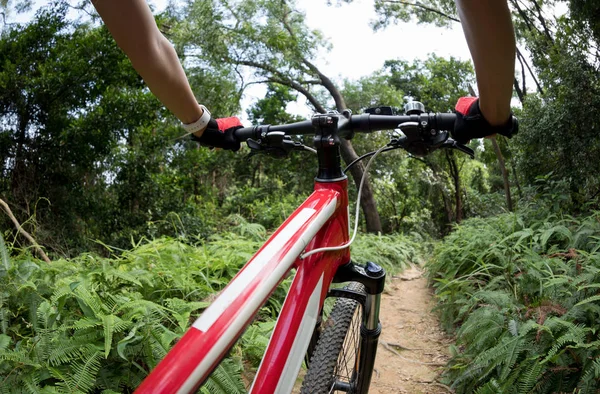 热带森林小径斜坡上骑越野自行车 手握山地自行车的骑手 — 图库照片