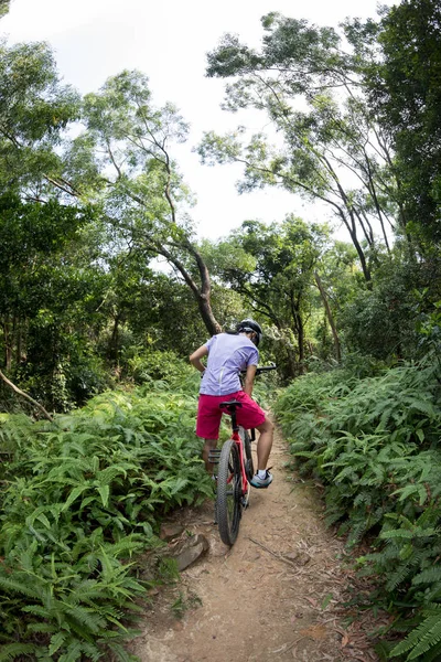 Cross Country Biking Cyclist Relaxing Tropical Rainforest Trail — Stock Photo, Image