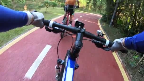 Kvinnor Ridning Cyklar Park Stig Soligt Väder — Stockvideo
