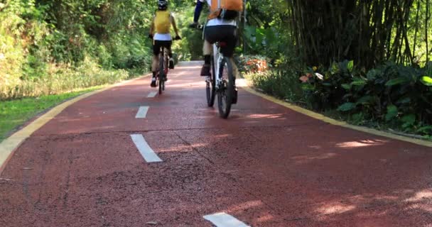 Γυναίκες Ποδηλασία Στο Πάρκο Μονοπάτι Για Ηλιόλουστο Καιρό — Αρχείο Βίντεο