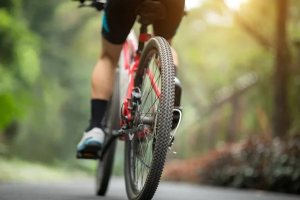 Mujer Ciclismo Sendero Del Parque Luz Del Sol — Foto de Stock