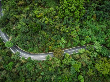 İlkbahar tropikal ormanlarında hava aracı görüntüsü