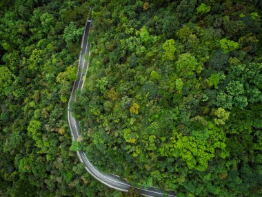 İlkbahar tropikal ormanlarında hava aracı görüntüsü