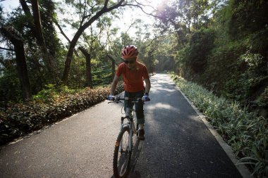 Güneşli bir günde parkta bisiklet süren bir kadın.