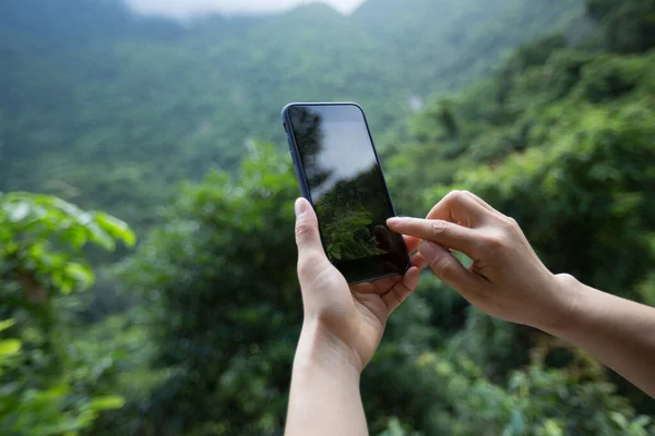 Mains Utilisant Téléphone Portable Prenant Des Photos Printemps Nature — Photo