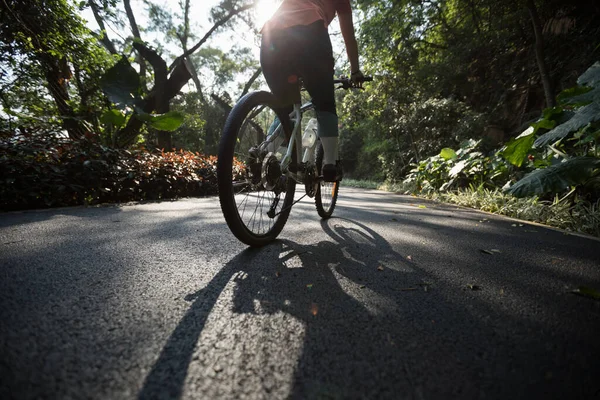 Güneşli Bir Günde Parkta Bisiklet Süren Bir Kadın — Stok fotoğraf