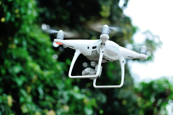 Kameralı Beyaz Dron Yazın Lychee Frutis Fotoğraflarını Çekiyor — Stok fotoğraf