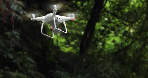 Πετούν Λευκό Drone Κοντά Αειθαλές Δάσος — Αρχείο Βίντεο