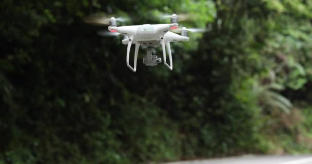 Πετούν Λευκό Drone Κοντά Αειθαλές Δάσος — Αρχείο Βίντεο