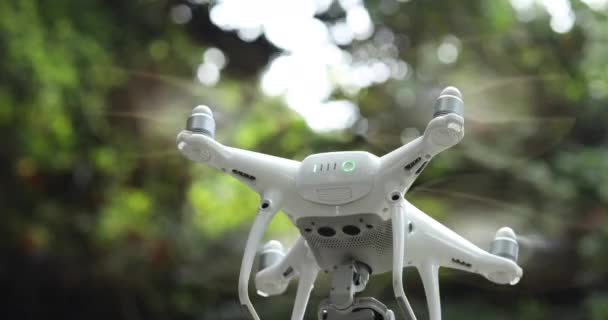 Flying White Drone Evergreen Forest — Stock Video