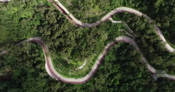 森の中の山道のドローン空撮 — ストック動画