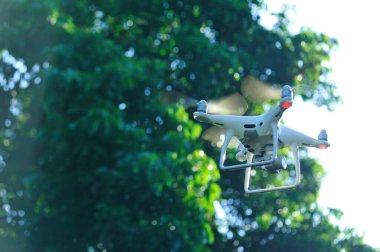 Kameralı beyaz dron yazın liçi meyvelerinin fotoğrafını çekiyor.