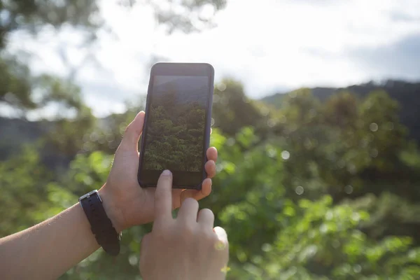Mains Utilisant Smartphone Prendre Des Photos Dans Nature Estivale — Photo