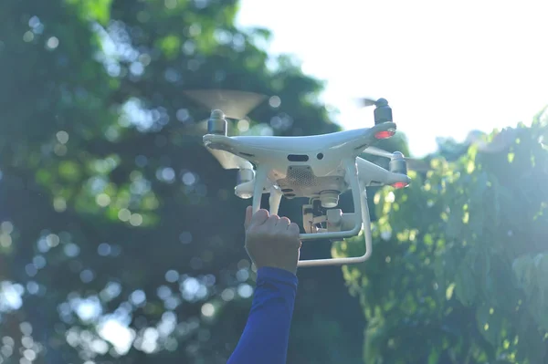 Fehér Drón Kamerával Repülő Fotózása Licsi Gyümölcsök Nyáron — Stock Fotó