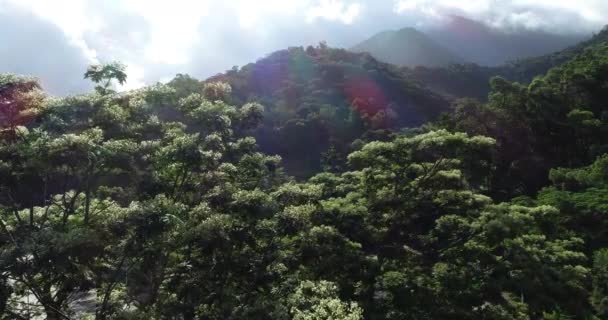 Dağlardaki Güzel Yeşil Ormanın Havadan Görünüşü — Stok video
