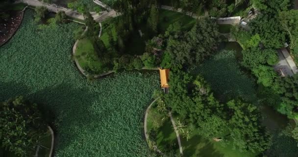 中国の美しい緑の公園の空中ドローンビュー — ストック動画