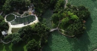 Çin 'deki güzel yeşil parkın hava aracı görüntüsü