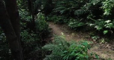 Dağ bisikleti süren kadın bisikletçi.