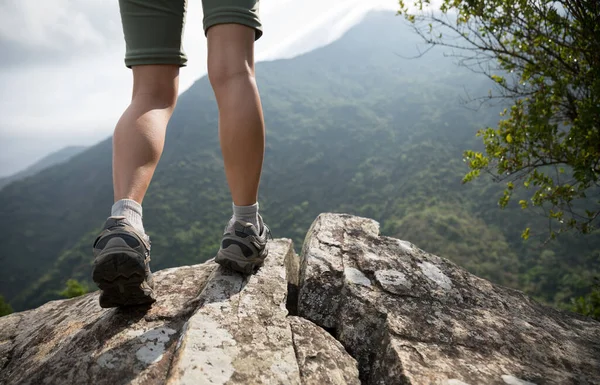 成功的徒步旅行者欣赏山顶悬崖边的景色 — 图库照片